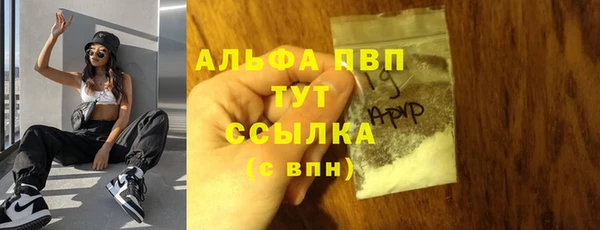 хмурый Дмитров