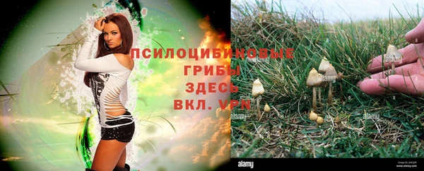 тгк Гусь-Хрустальный