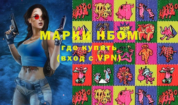 хмурый Дмитров
